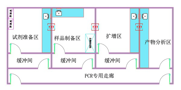 開展新型冠狀病毒檢測的能力的實(shí)驗(yàn)室