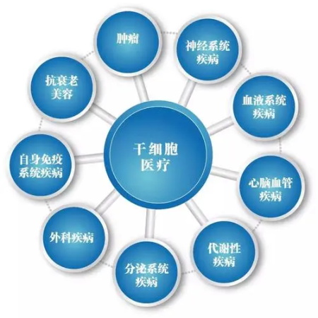 干細胞(1).jpg