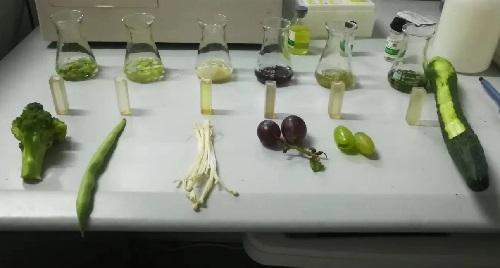 蔬菜檢測.jpg